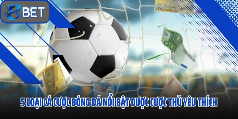 Cá Cược Bóng Đá Sôi Động Kịch Tính Bùng Nổ Hàng Tỷ Đồng 2 5 loại cá cược bóng đá nổi bật được cược thủ yêu thích