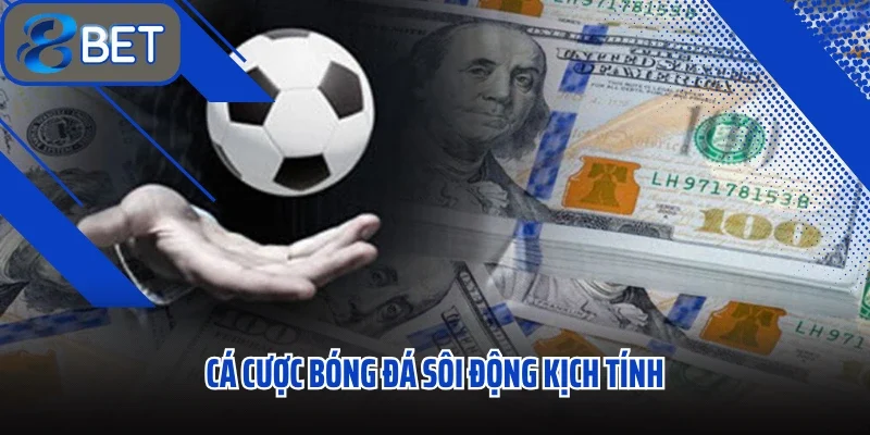 Cá Cược Bóng Đá