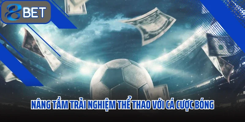 Cá Cược Bóng Đá Sôi Động Kịch Tính Bùng Nổ Hàng Tỷ Đồng 1 Nâng tầm trải nghiệm thể thao với cá cược bóng đá